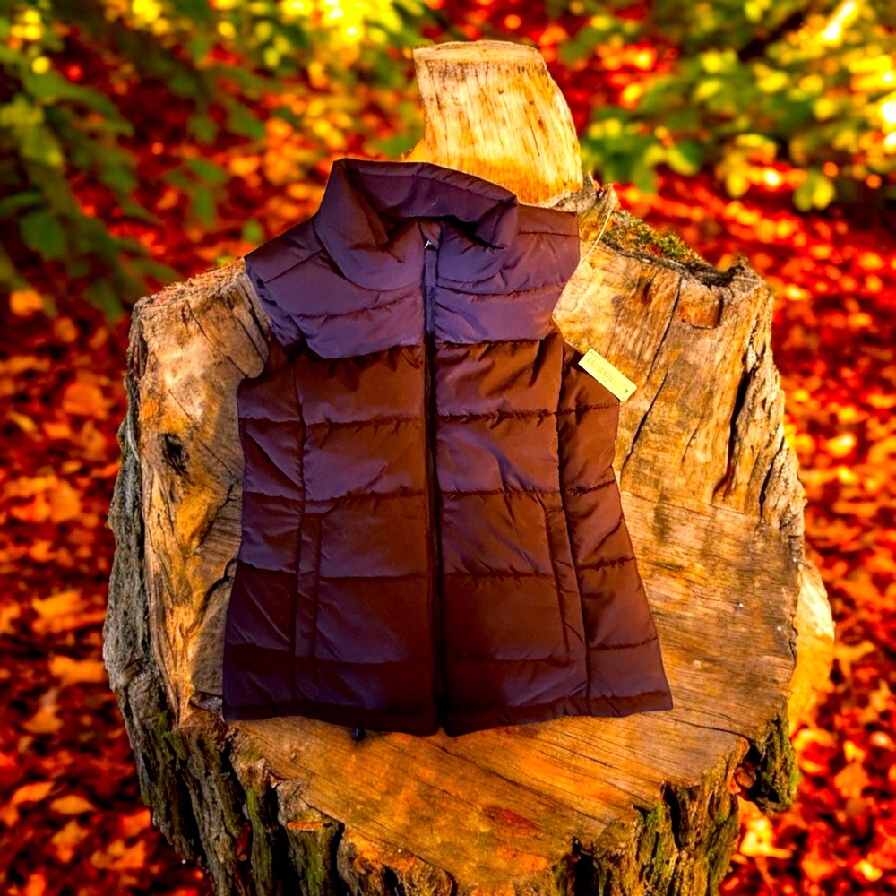 Puffer vest in purple color size. Sm